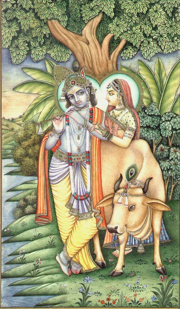 Ind 7